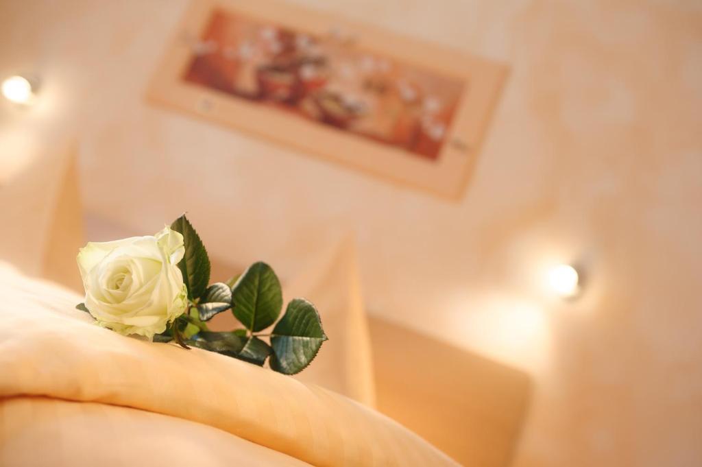 Hotel Mediterraneo Neustadt an der Weinstraße Room photo